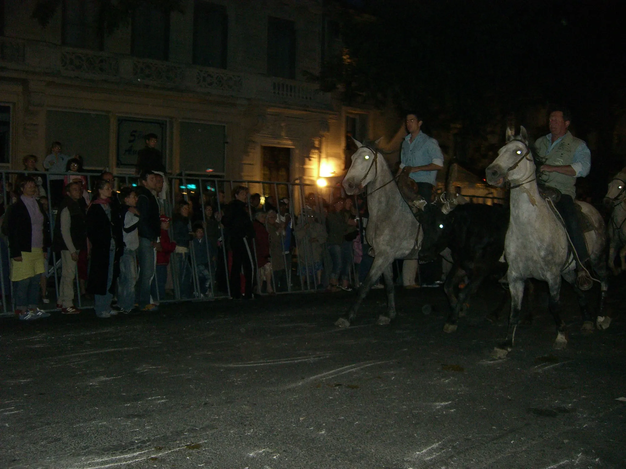 2006 Jun - The abrivados (herdsmen guiding bulls through the streets) - Nîmes
